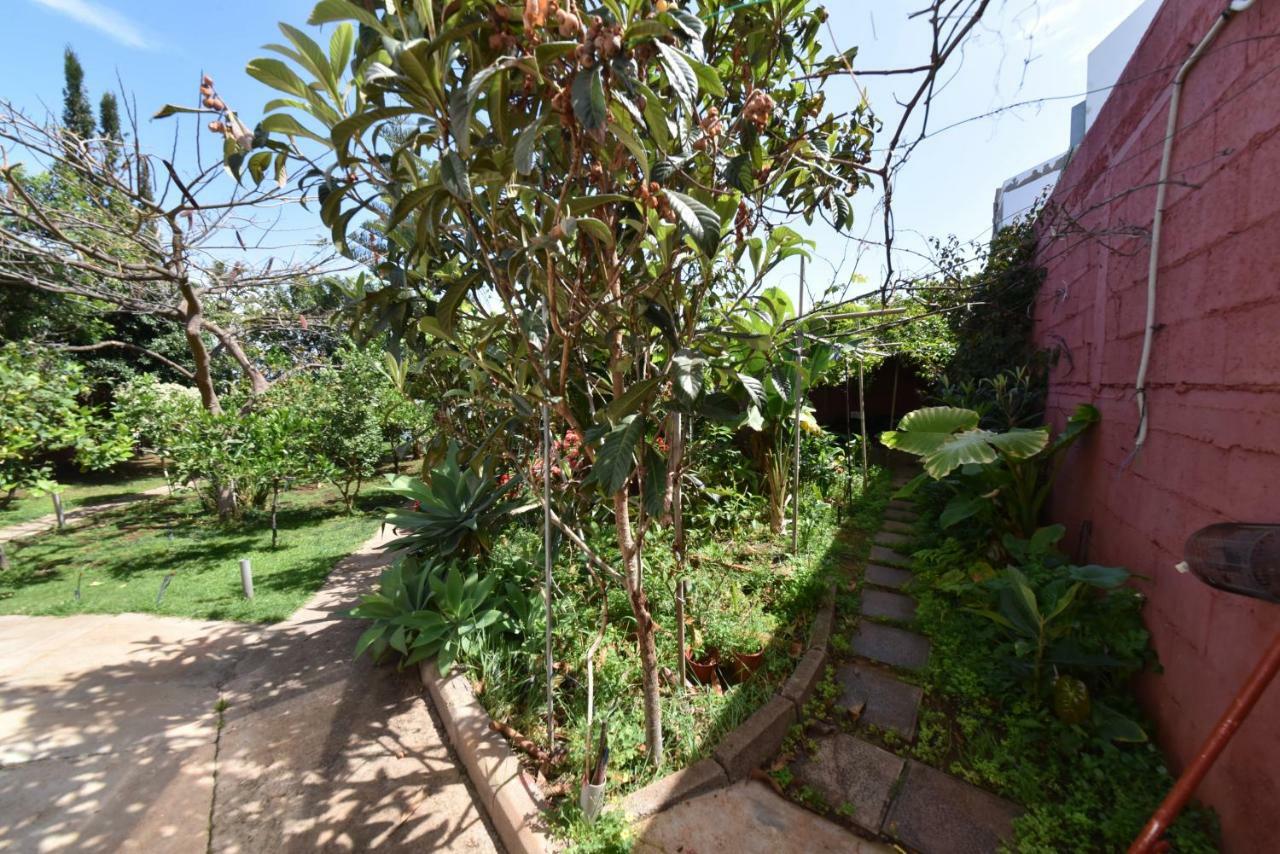 Casa El Tonelero Con Jardin Y Piscina Privada Villa Gáldar Eksteriør billede
